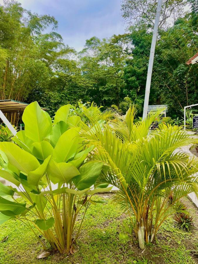 Grand Park Manuel Antonio Hotel Quepos Exterior foto